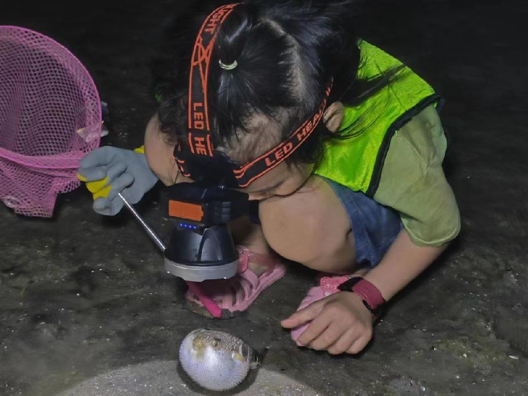 海南三亞海棠灣後海趕海體驗【提供趕海工具+專業教練帶隊指導】