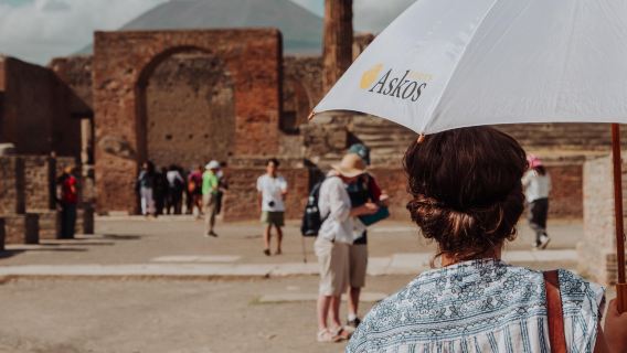 Pompeii and Herculaneum small group tour + tickets included with transportation from Naples