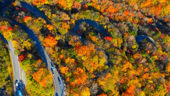 Nikko, Japon : Excursion d'une journée au sanctuaire Toshogu et au lac Chuzenji : sentier de la montagne Iroha, chutes de Kegon et plus encore au départ de Tokyo