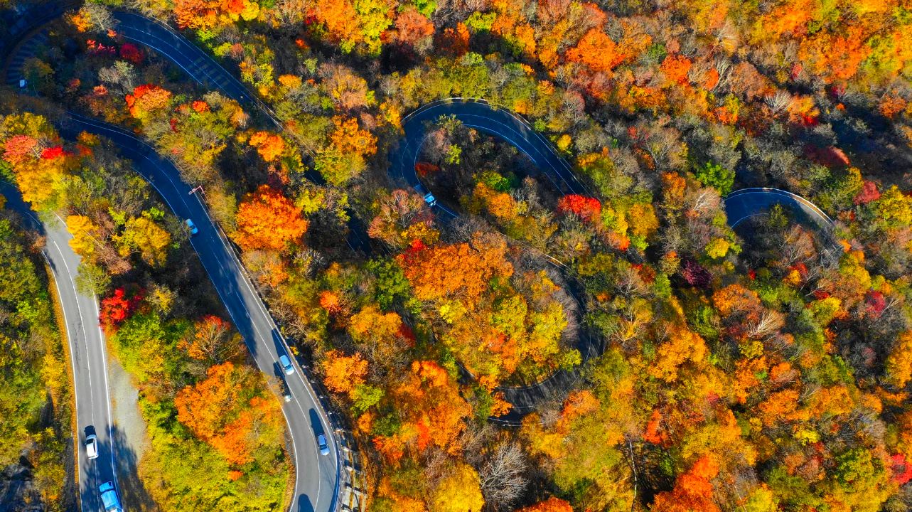 1-day tour to Nikko Toshogu Shrine + Lake Chūzenji: Irohazaka Winding Road/Kegon Waterfalls/Departing from Tokyo