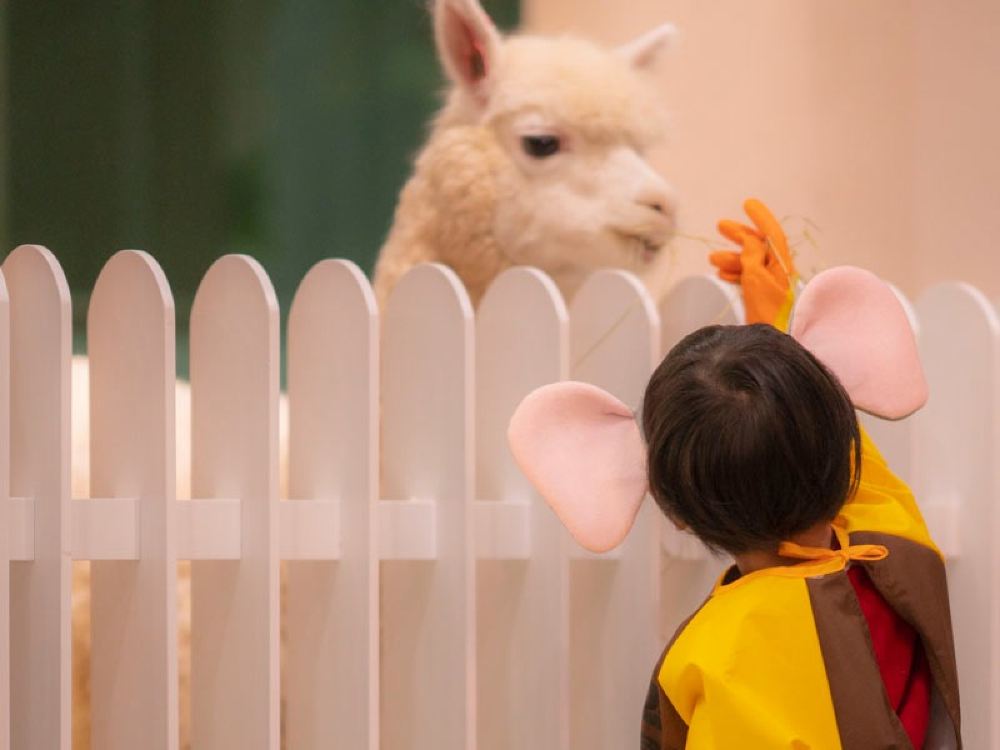 小孩穿老鼠裝戴手套餵食羊駝，Lollypet寵萌樂園近距離動物互動體驗