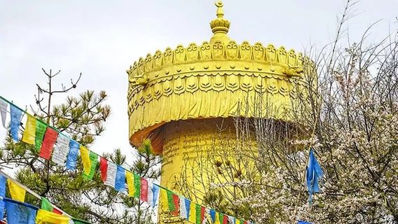 麗江日遊