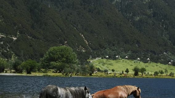 Shangri-La: Customizable Tour to Ganden Sumtseling Monastery + Bakorla Dzong + Bala Village + Shambhala Stupa Attractions