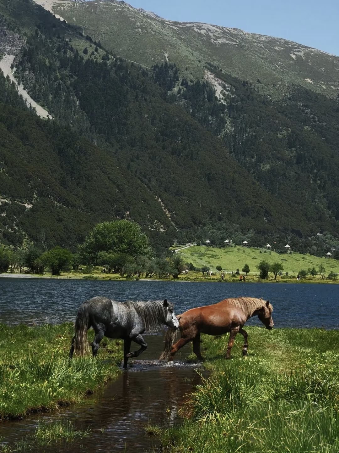 Шангри-Ла: достопримечательности монастыря Сунцзанлинь, Бакорацзун, деревни Бала и ступы Шамбалы можно настроить G