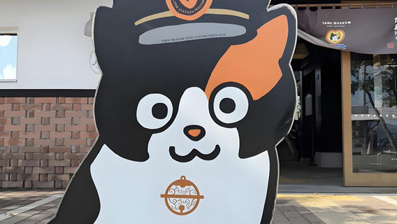 和歌山市日遊