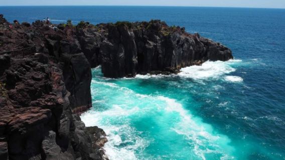 城崎海岸＆伊豆大室山一日遊