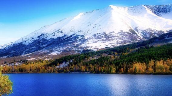 美國安克拉治-淘金小鎮-迪納利國家公園與保護區-飛機觀光