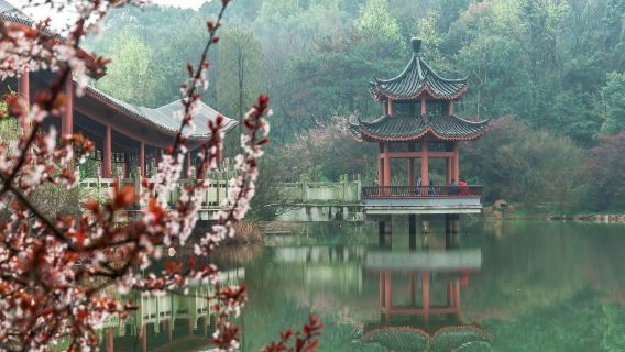 Changsha Local Guide/Foreign Language guide: Museum + Yuelu Academy + Aiwan Pavilion Foreign Guest Reception EA