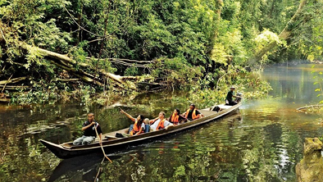 Taman Negara National Park Trekking & Boat Ride Tour From Kuala Lumpur (Shared)