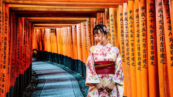 KōkaTagestouren