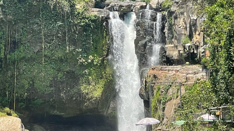 烏布 + 金塔馬尼高原 + Tegallalang 梯田 + Tirta Empul 寺 + Tegenungan 瀑布 / 私人遊覽 8 小時