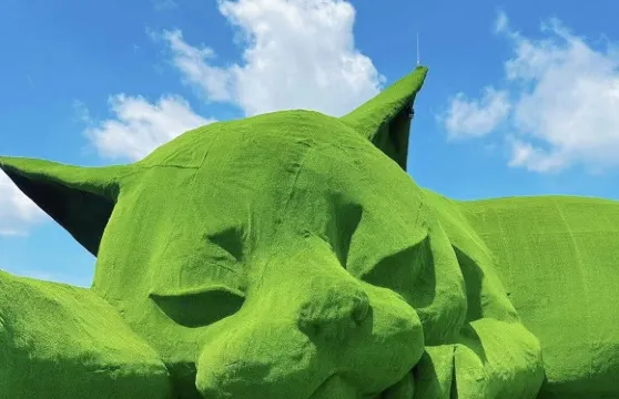 淮安白馬湖+肥貓島+明祖陵+里運河長廊一日遊 可中英文服務