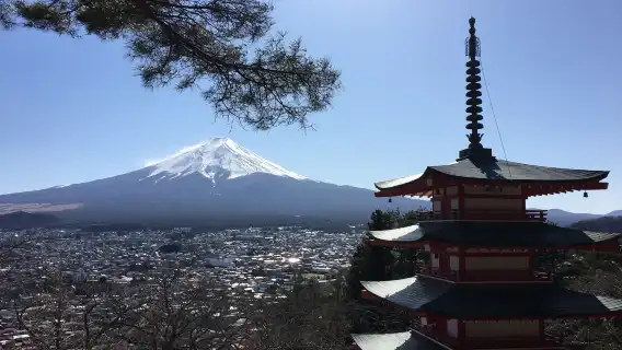 Official ticket: JR Tokyo Wide Area Pass (electronic redemption voucher, redeemable from 8/21)