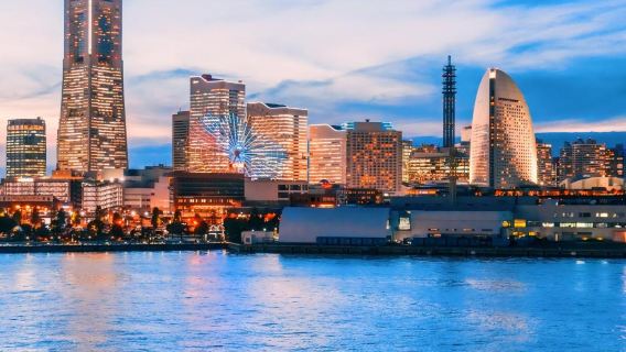 日本東京+橫濱港未來21一日遊/行程可調-可定制多日