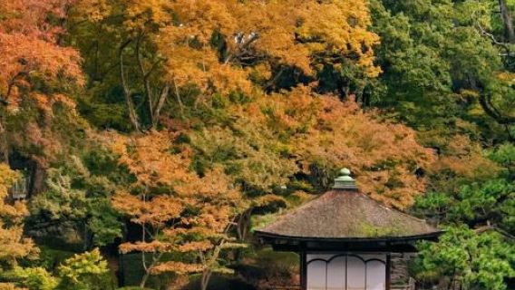 日本大阪+和歌山白濱溫泉+三段壁一日遊/行程可調-可客製化多日