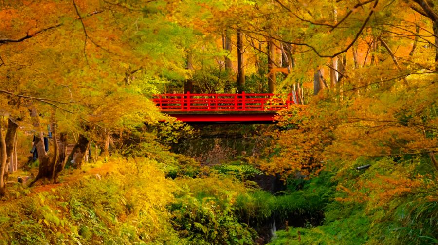 大阪+京都小團一日遊丨紅葉秘境巡禮琉璃光院·三千院·貴船神社