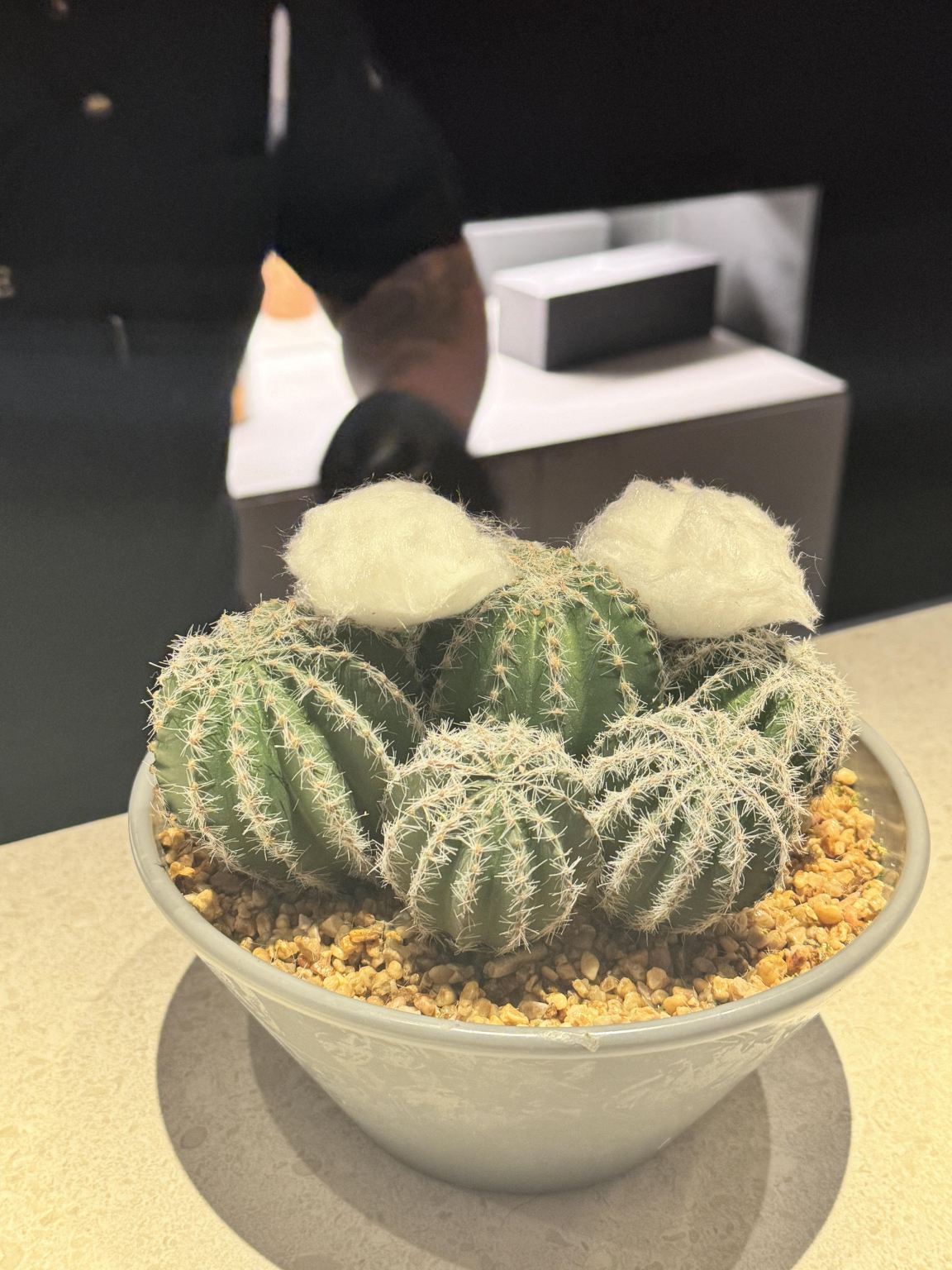 Tischreservierung im Restaurant Angle Barcelona in Barcelona, Spanien