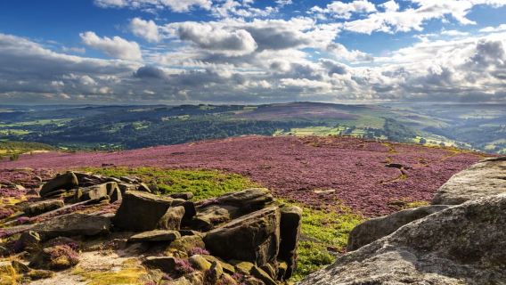 Da Manchester: tour di Chatsworth e del Peak District
