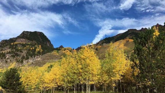 Tagestour durch den Olympic-Nationalpark in kleiner Gruppe mit State Ferries