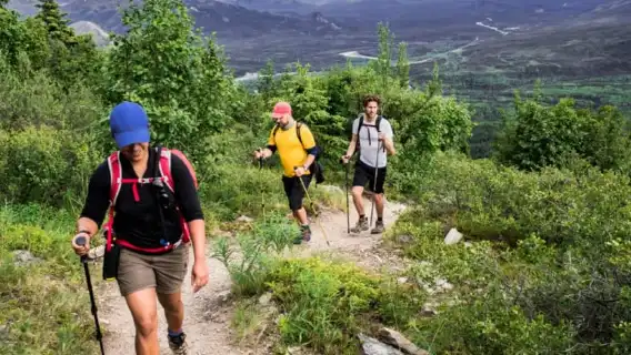 ทัวร์เต็มวันภูเขา Drakensberg จากเดอร์บันและเดินป่า