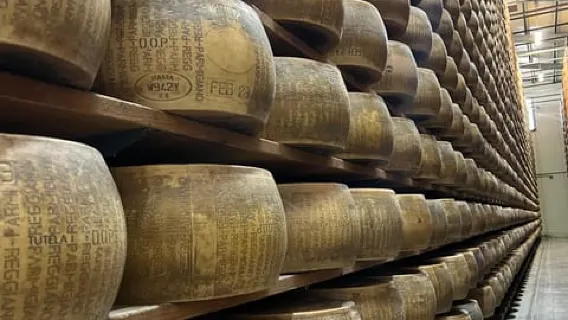 Tour gastronomico del Parmigiano e dell'Aceto Balsamico con il Museo Ferrari