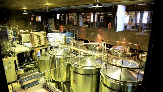 Acuario de Otaru, teleférico y recorrido cinematográfico en autobús desde Sapporo