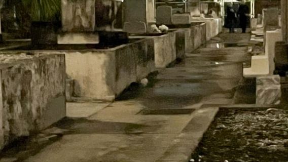 Nueva Orleans: Recorrido en autobús por el cementerio al anochecer con acceso exclusivo