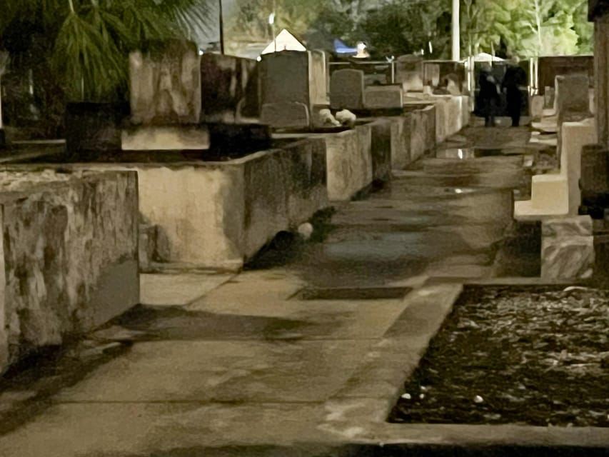 New Orleans: tour in autobus del cimitero al buio con accesso esclusivo