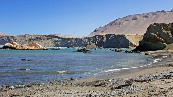 Excursión a la bahía de San Fernando y Sandboarding en Nazca