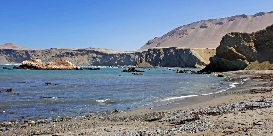 Excursion to San Fernando bay and Sandboarding in Nazca