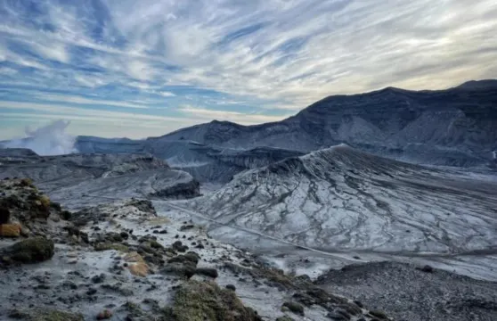 日本九州-熊本來回-大分海洋宮殿水族館 海之卵-春日神社-大分精品遊