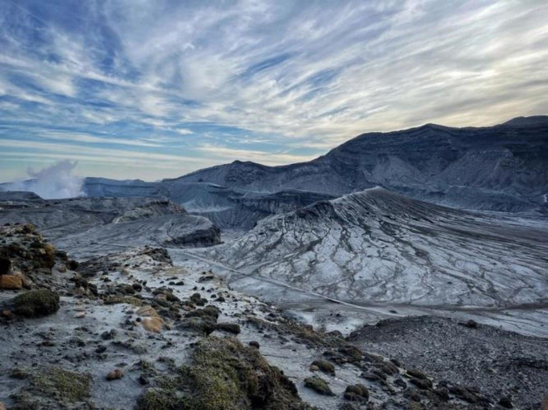 日本九州-熊本來回-大分海之卵水族館-春日神社-大分精品遊