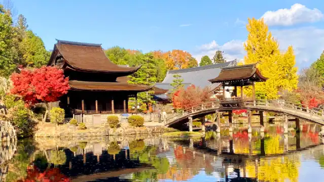 名古屋 虎溪山永保寺+香嵐溪+小原四季櫻一日遊,秋季限定路線