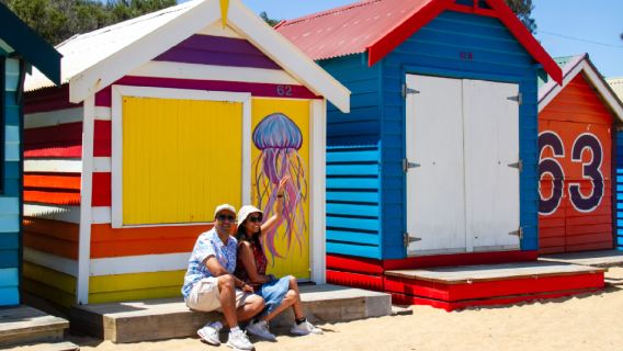 Phillip Island Penguin Parade Tour in Australia [24-person group with city hotel transfers]