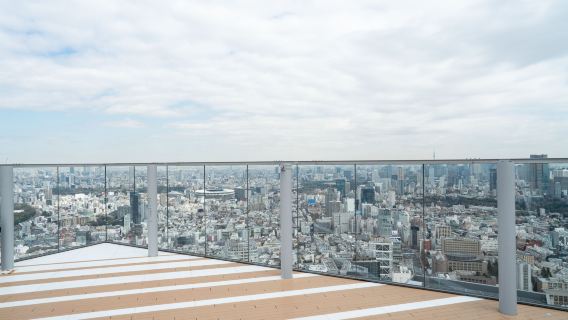 2 Stunden Shibuya entdecken: Shibuya Sky Aussichtsplattform, berühmte Kreuzung und Höhepunkte der Popkultur