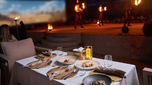 Noble Safari with Premium Seating, Dinner And Quad Bikes ATV Day Tours 7