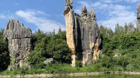 Yunnan: Excursión privada de un día al Condado autónomo yi de Shilin