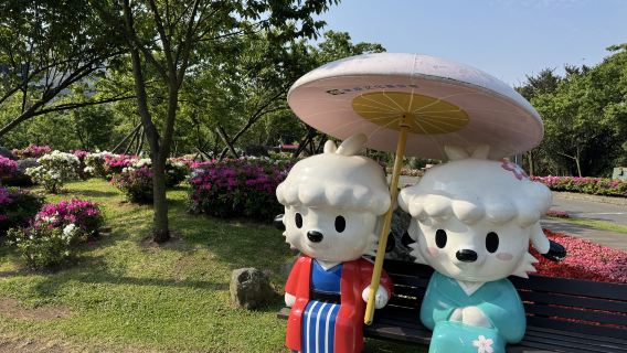 Yangmingshan & Beitou one-day tour Tour (Chinese and English Tour Guide I Depart from Ximending)