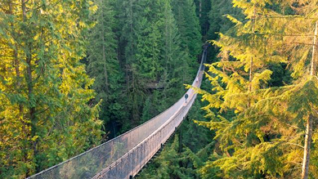 加拿大溫哥華市區一日遊+唐人街·皮卡拉諾吊橋公園·史丹利公園