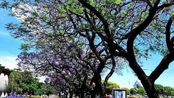 阿根廷布宜諾斯艾利斯+雅典人書店一日遊/行程可調-可定制多日