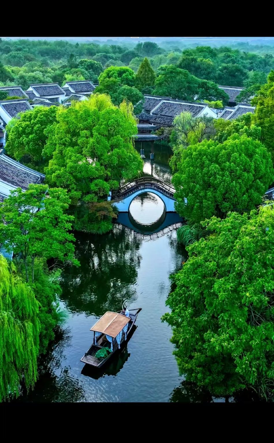 Tour di un giorno VIP a Hangzhou con noleggio con conducente esclusivo: Parco delle Zone Umide di Xixi, Lago dell'Ovest e Villaggio del Tè Longjing