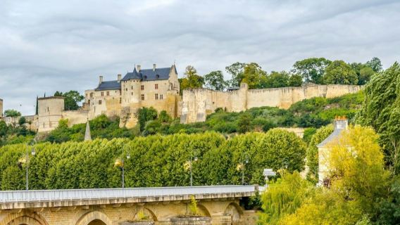 Valle del Loira: Visita guiada a los viñedos de Chinon y Bourgueil desde Tours + Cata de vinos