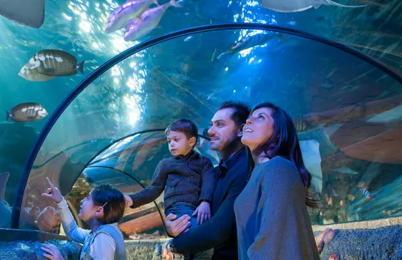 加達雲霄樂園海洋生物水族館入場門票成人