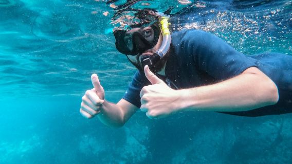 Fuerteventura: Wycieczka z przewodnikiem na snorkeling + transfer w obie strony