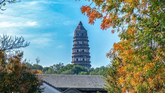 Shanghái ida y vuelta: excursión de un día a Suzhou|Un pedido, un grupo|Servicio de coche privado con conductor personalizado en varios idiomas, incluidos chino e inglés