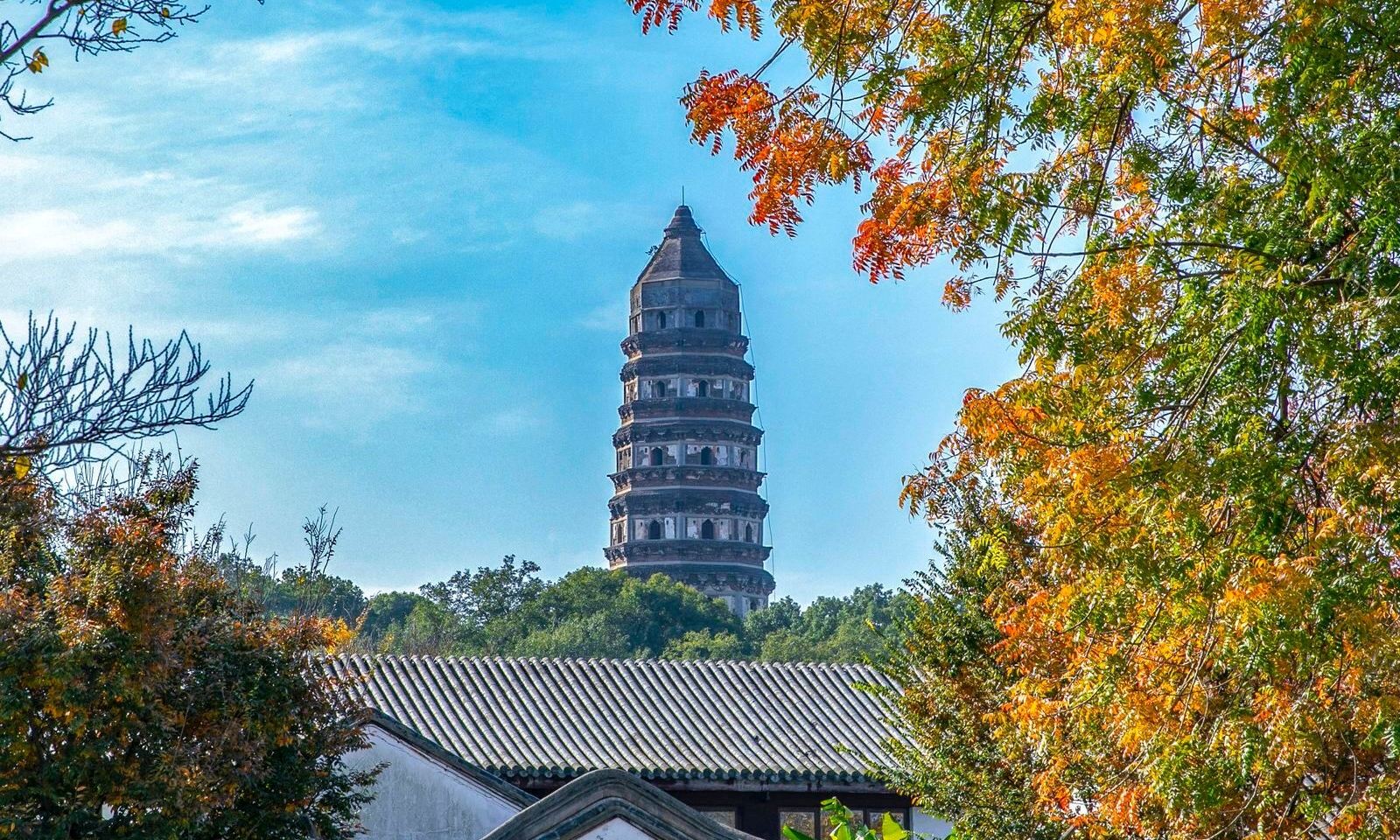 Shanghai andata e ritorno: tour di un giorno a Suzhou|Un ordine, un gruppo|noleggio con conducente esclusivo personalizzato in cinese, inglese e altre lingue