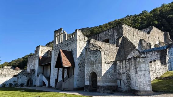 1-day private charter tour of historic towns along Hungary's Danube Bend
