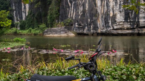 Ninh Binh- Tam Coc Wonders plus- Half day Tour