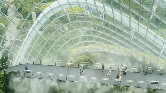 Singapore Couple Private Charter | Gardens by the Bay + Singapore Flyer Starlight Dinner