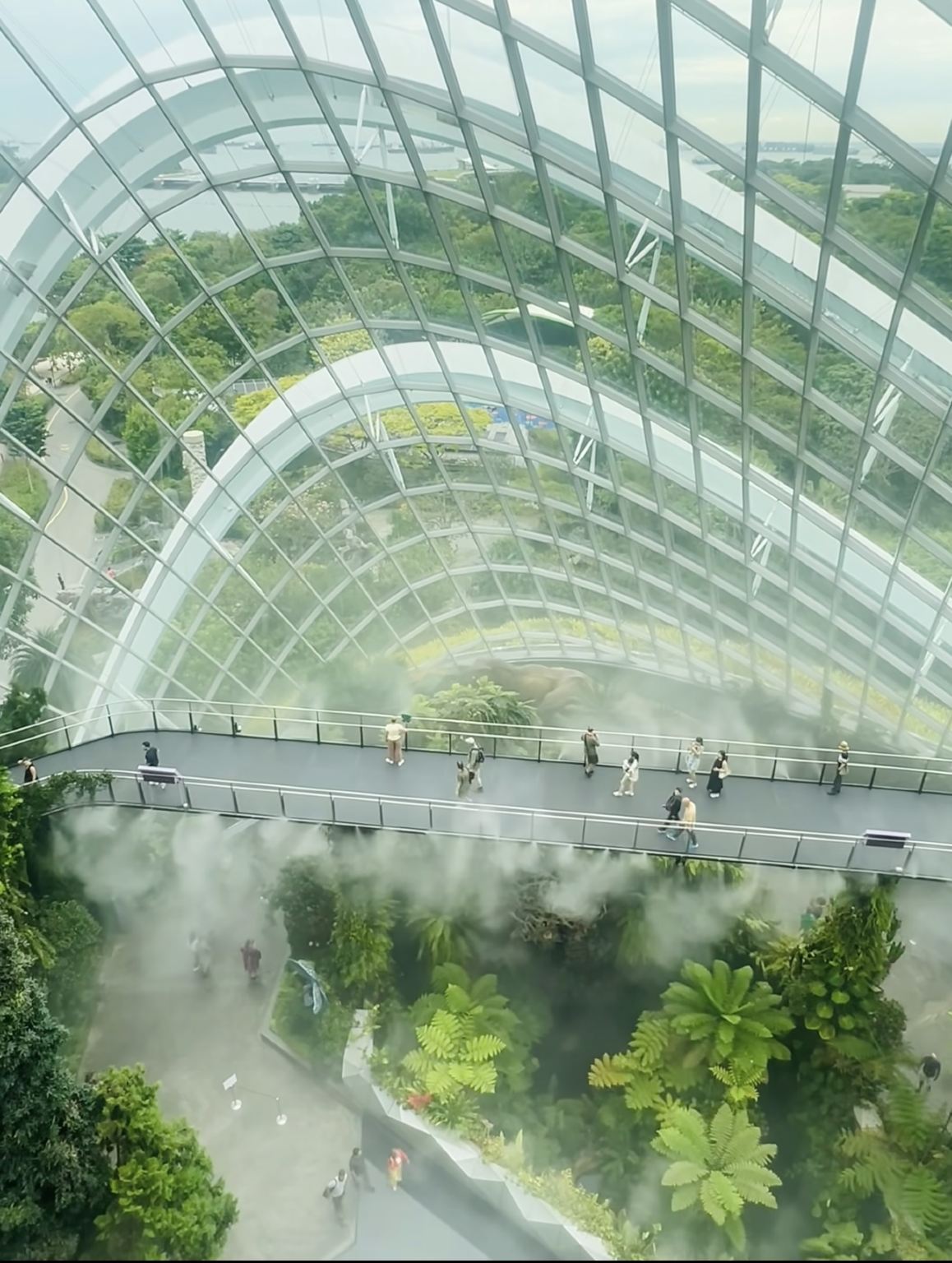 Singapore Couple Private Charter | Gardens by the Bay + Singapore Flyer Starlight Dinner